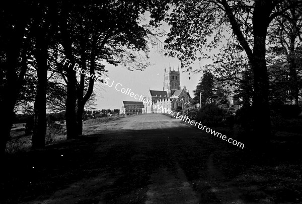 MT MELLARY  ABBEY  APPROACHING UNDER TREES